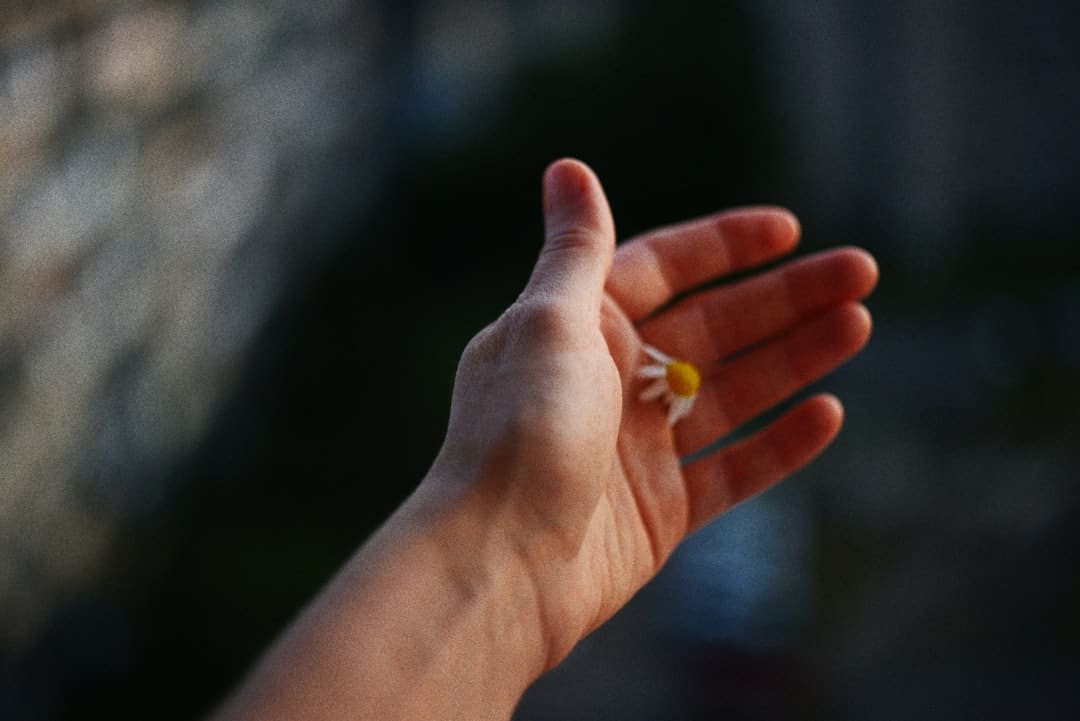前史的回响｜穿透漆黑的光束